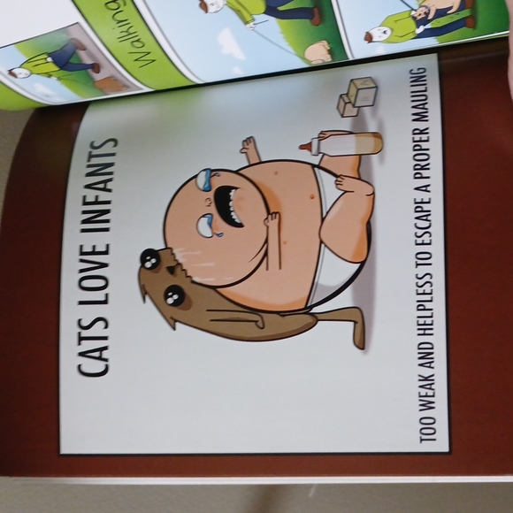 How to tell if your cat is plotting to kill you - Picture 7 of 12